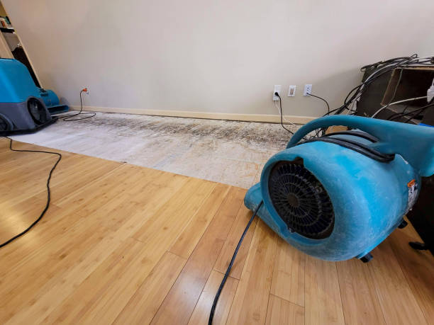 Professional Burst Pipe Water Damage technician working in Springfield, WI
